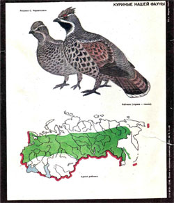 Журнал "Охота и охотничье хозяйство" 1991 год №4