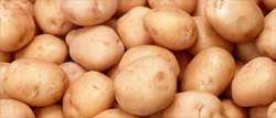 Способ быстрой чи­стки молодого картофе­ля