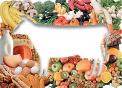 Здоровье и вегетарианство